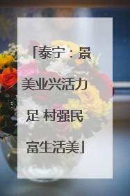 泰宁：景美业兴活力足 村强民富生活美