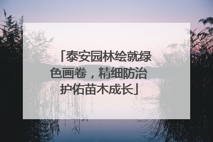 泰安园林绘就绿色画卷，精细防治护佑苗木成长