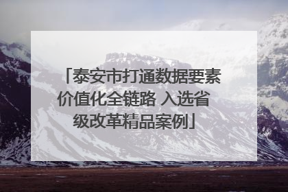 泰安市打通数据要素价值化全链路 入选省级改革精品案例