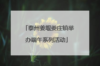 泰州姜堰娄庄镇举办端午系列活动
