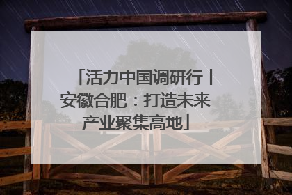 活力中国调研行丨安徽合肥：打造未来产业聚集高地
