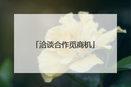 洽谈合作觅商机