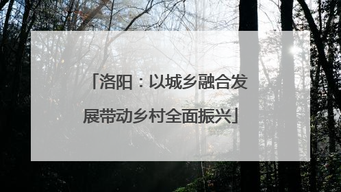 洛阳：以城乡融合发展带动乡村全面振兴