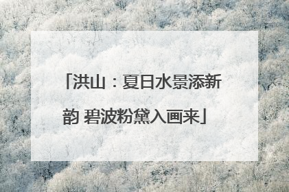 洪山：夏日水景添新韵 碧波粉黛入画来