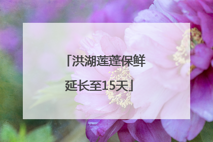 洪湖莲蓬保鲜延长至15天