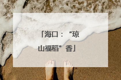 海口：“琼山福稻”香