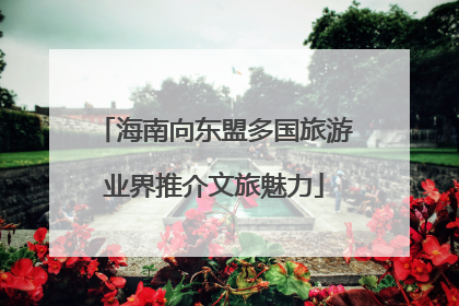 海南向东盟多国旅游业界推介文旅魅力