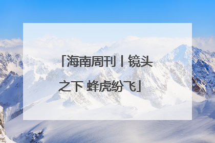 海南周刊丨镜头之下 蜂虎纷飞
