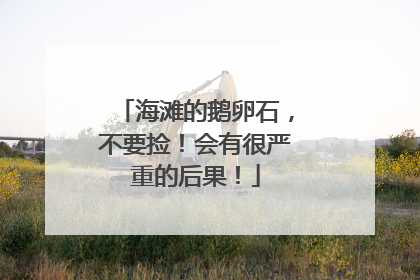 海滩的鹅卵石，不要捡！会有很严重的后果！