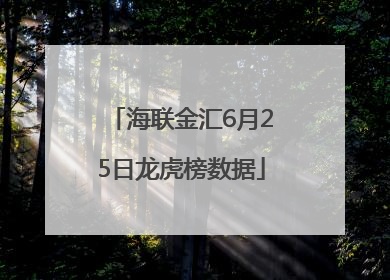 海联金汇6月25日龙虎榜数据