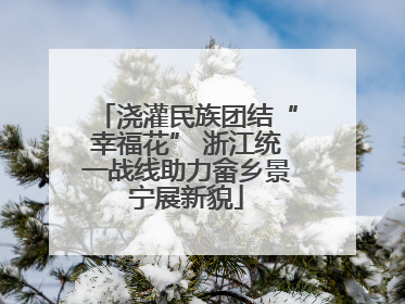 浇灌民族团结“幸福花” 浙江统一战线助力畲乡景宁展新貌