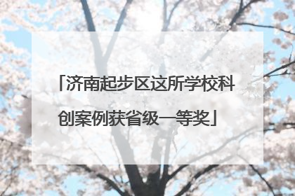 济南起步区这所学校科创案例获省级一等奖