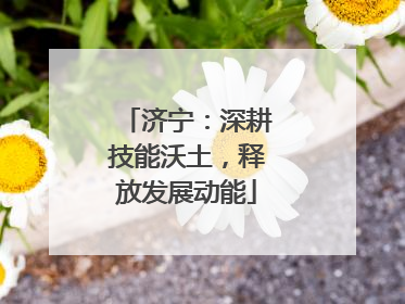 济宁：深耕技能沃土，释放发展动能
