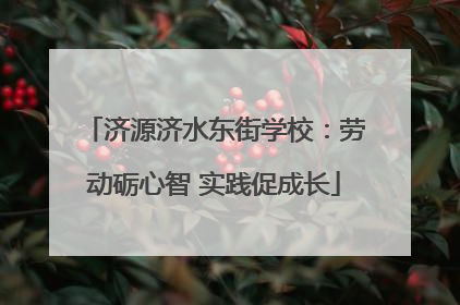 济源济水东街学校：劳动砺心智 实践促成长