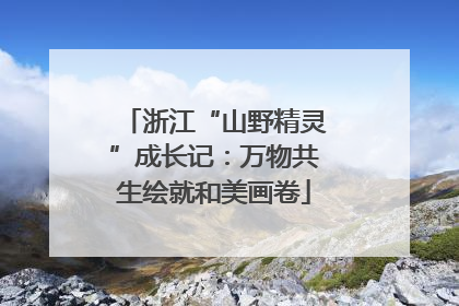 浙江“山野精灵”成长记：万物共生绘就和美画卷
