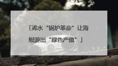 浠水“锅炉革命”让海鳗游出“绿色产值”