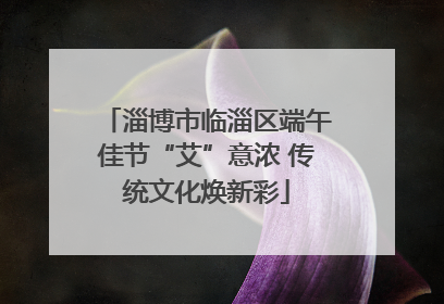 淄博市临淄区端午佳节“艾”意浓 传统文化焕新彩