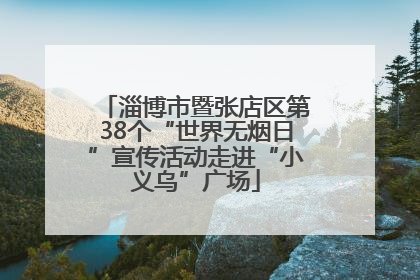 淄博市暨张店区第38个“世界无烟日”宣传活动走进“小义乌”广场