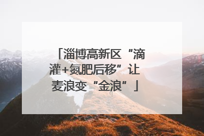 淄博高新区“滴灌+氮肥后移”让麦浪变“金浪”
