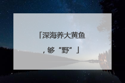 深海养大黄鱼，够“野”