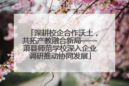 深耕校企合作沃土，共拓产教融合新局——萧县师范学校深入企业调研推动协同发展