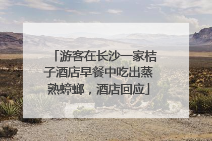 游客在长沙一家桔子酒店早餐中吃出蒸熟蟑螂，酒店回应