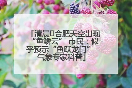 清晨﻿合肥天空出现“鱼鳞云” 市民：似乎预示“鱼跃龙门” 气象专家科普