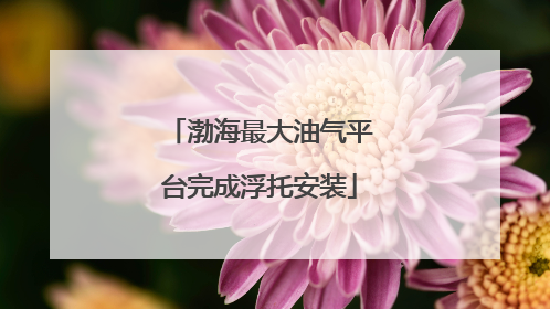 渤海最大油气平台完成浮托安装