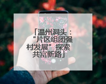 温州洞头：“片区组团强村发展”探索共富新路