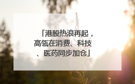 港股热浪再起，高瓴在消费、科技、医药同步加仓