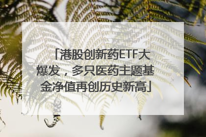 港股创新药ETF大爆发，多只医药主题基金净值再创历史新高