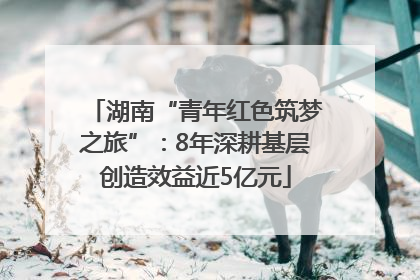湖南“青年红色筑梦之旅”：8年深耕基层创造效益近5亿元