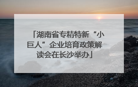 湖南省专精特新“小巨人”企业培育政策解读会在长沙举办