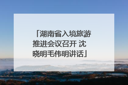 湖南省入境旅游推进会议召开 沈晓明毛伟明讲话