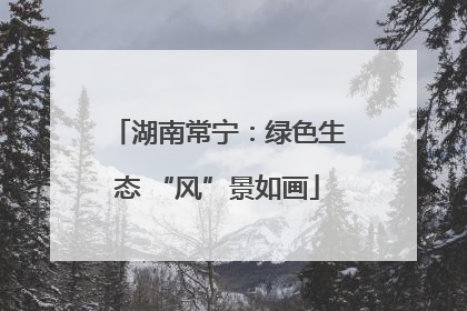湖南常宁：绿色生态 “风”景如画