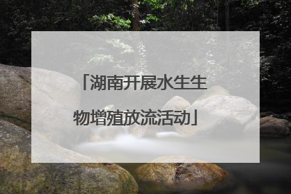 湖南开展水生生物增殖放流活动