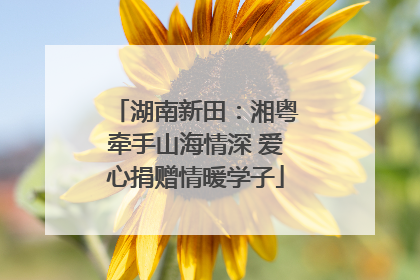 湖南新田：湘粤牵手山海情深 爱心捐赠情暖学子