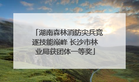 湖南森林消防尖兵竞逐技能巅峰 长沙市林业局获团体一等奖