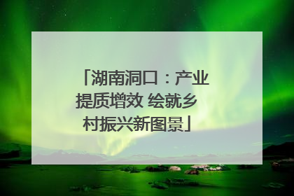 湖南洞口：产业提质增效 绘就乡村振兴新图景