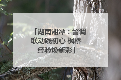 湖南湘潭：警调联动践初心 枫桥经验焕新彩