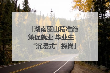 湖南蓝山精准施策促就业 毕业生“沉浸式”探岗