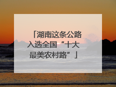 湖南这条公路入选全国“十大最美农村路”