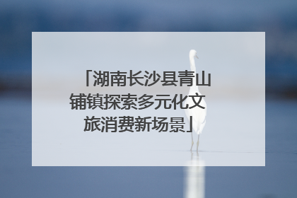 湖南长沙县青山铺镇探索多元化文旅消费新场景