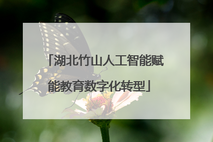 湖北竹山人工智能赋能教育数字化转型