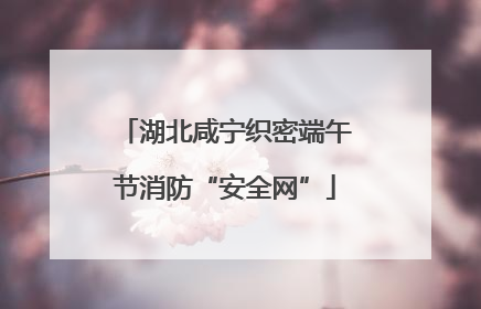 湖北咸宁织密端午节消防“安全网”