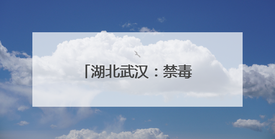 湖北武汉：禁毒宣传走进火车站
