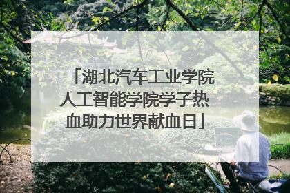 湖北汽车工业学院人工智能学院学子热血助力世界献血日