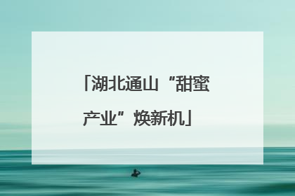 湖北通山“甜蜜产业”焕新机