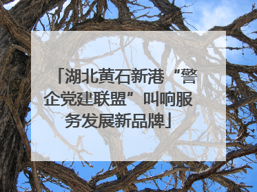 湖北黄石新港“警企党建联盟”叫响服务发展新品牌