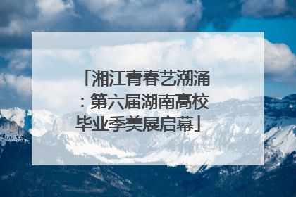湘江青春艺潮涌：第六届湖南高校毕业季美展启幕